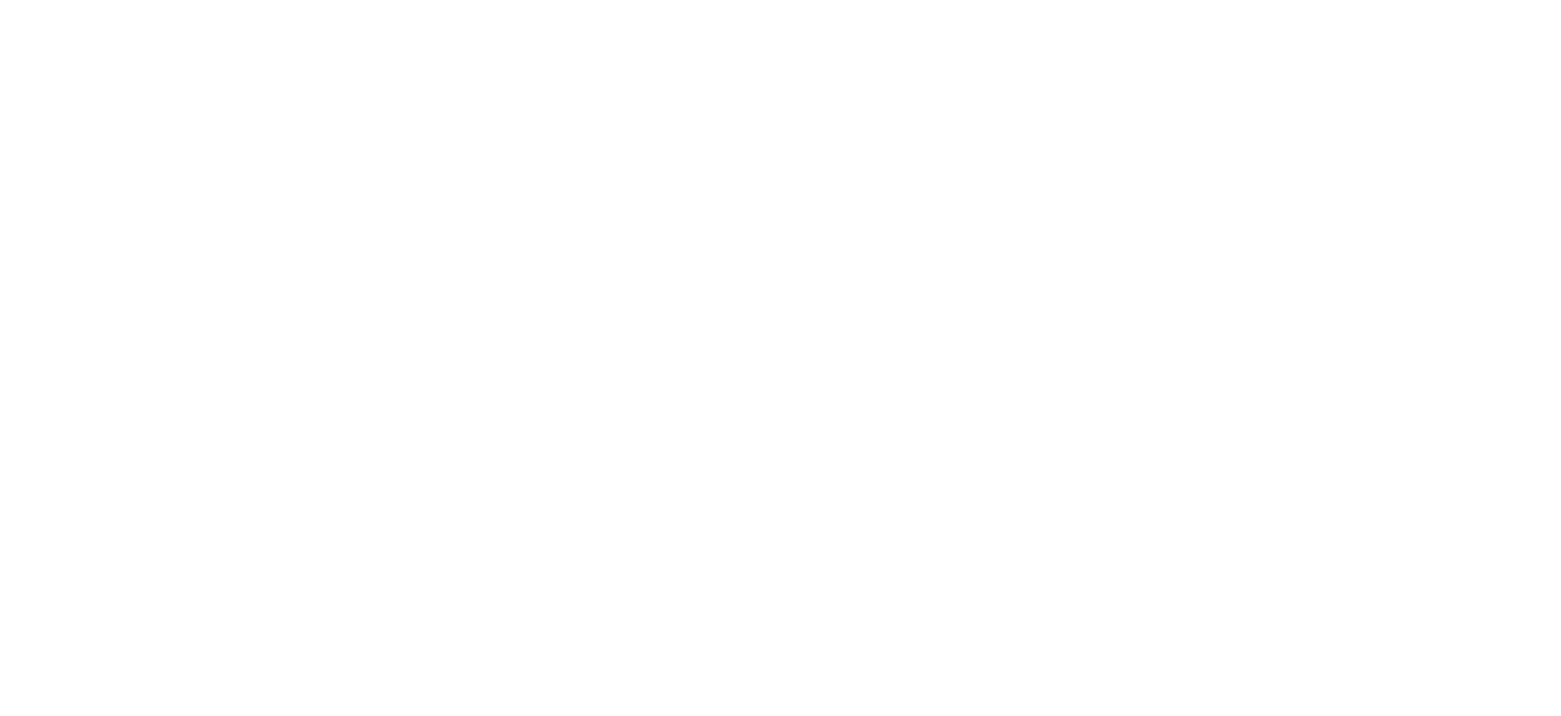 ferro_logo3